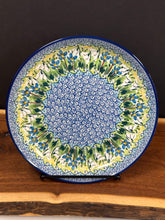 Load image into Gallery viewer, Plate, Rimmed 9.25&quot; - U5071
