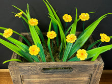 Load image into Gallery viewer, Flower, 1 Pc. - Mini Primula on 8” Wire Stem - Yellow
