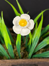 Load image into Gallery viewer, Flower, 1 Pc. - Daffodil on 8” Wire Stem - White
