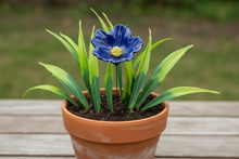 Load image into Gallery viewer, Flower, 1 Pc. - Large Hibiscus on 11” Wire Stem - Cobalt Blue
