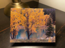 Load image into Gallery viewer, Greeting Card/Note Card by AMcKinley Photography - Autumn Gold
