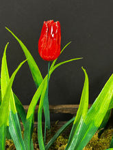 Load image into Gallery viewer, Flower, 1 Pc. - Tulip on 8” Wire Stem - Two-Toned Red
