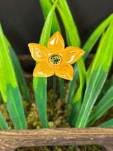 Load image into Gallery viewer, Flower, 1 Pc. - Edelweiss  / Star Flower on 8” Wire Stem - Yellow
