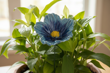 Load image into Gallery viewer, Flower, 1 Pc. - Large Hibiscus on 11” Wire Stem - Two-Tone Light Blue
