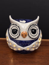 Load image into Gallery viewer, Owl, Luminary
