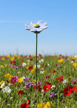 Load image into Gallery viewer, Flower, 1 Pc. - Small Marguerite Daisy on 8” Wire Stem - Lilac

