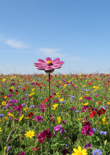 Load image into Gallery viewer, Flower, 1 Pc. - Small Marguerite Daisy on 8” Wire Stem - Deep Purple
